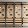 Storage Cabinet Rack With Wooden Drawers And Metal Frame For Butterfly Specimens