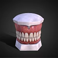 Dental Medical Device With Teeth And Gum Structure For Oral Teaching
