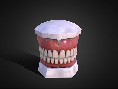 Modern dentures closed dentures 3d model Modern dentures closed dentures 3d model