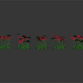 Vibrant Red Flowers With Lush Green Leaves Growing In Cluster Against Gray Background