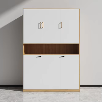 Bookcase File Cabinet Storage Cabinet High Cabinet 3d model