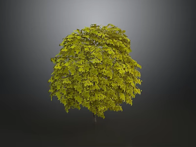 Full Vibrant Green Tree With Lush Dense Foliage Against Gray Background 3d model