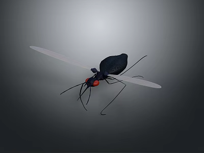 Black Toy Insect With Red Eyes Transparent Wings And Grey Background 3d model