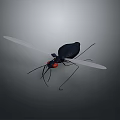 Black Toy Insect With Red Eyes Transparent Wings And Grey Background