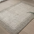 Light Beige Square Rug With Intricate Border Design On Wooden Floor And Green Plant