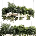 Modern Hanging Chandelier Featuring Lush Green Plants And Decorative Black Frame