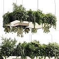 Chandelia decorative lamp green plant chandelier 3d model