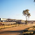 Modern Desert Building With Palm Trees Camel And Dirt Road Under Blue Sky