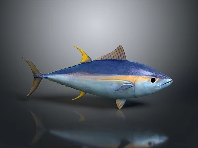 Vibrant Blue and Yellow Tuna Fish with Yellow Fins on Dark Reflective Surface 3d model