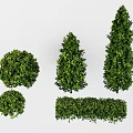 Plant Pile Green Belt Green Planting Landscape Trees Shrub Modeling Trees Pruning Trees 3d model