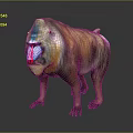 Colorful Mandrill with Blue and Red Facial Markings and Tawny Fur in 3D Rendered