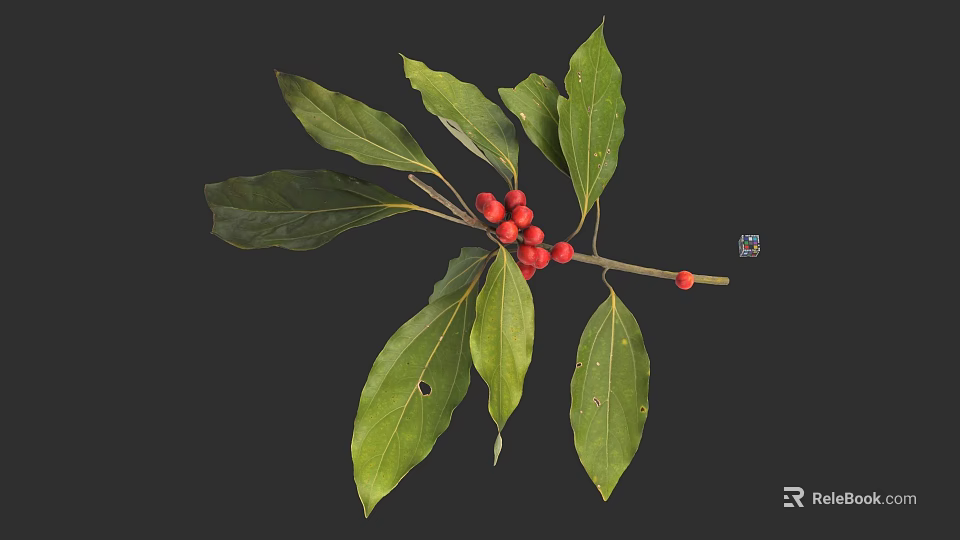 Fresh Green Leaves And Red Berries On Natural Botanical Branch For Decor 3d model 