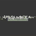 Clear Rectangular Vase With White Flowers And Green Leaves On Dark Reflective Surface