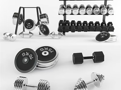 Durable Home Gym Fitness Equipment With Adjustable Dumbbells Weight Plates And Rack 3d model