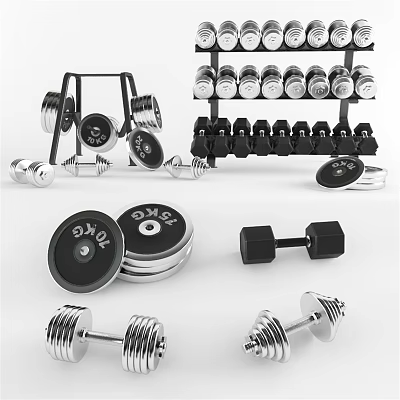 Durable Home Gym Fitness Equipment With Adjustable Dumbbells Weight Plates And Rack 3d model