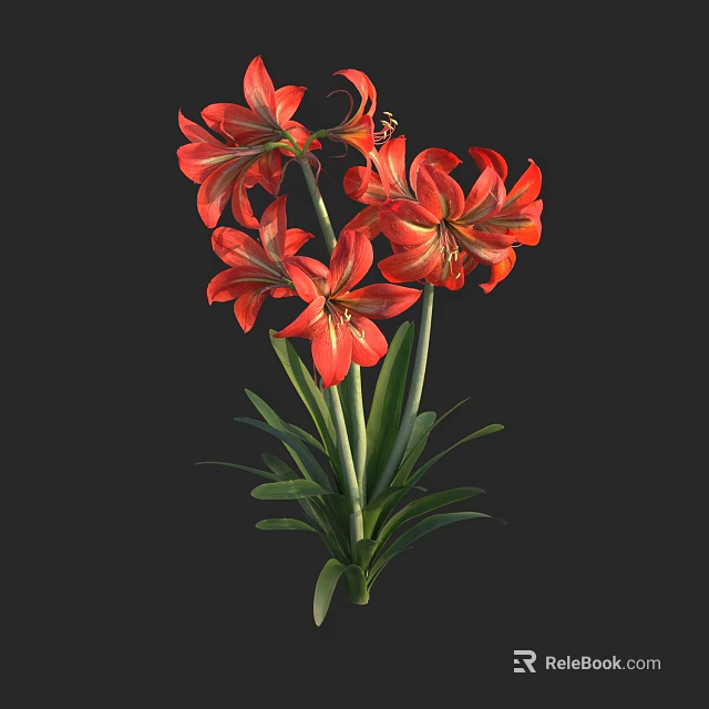 Vibrant Red Lily Like Flowers With Green Stems And Leaves On Black Background 3d model 