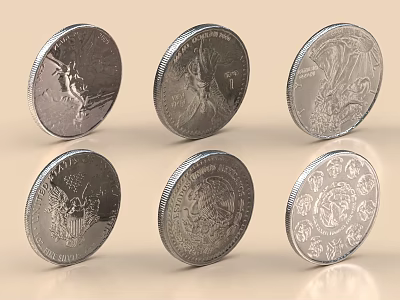 Decorative Silver Coin Ornament Set Featuring Intricate Engravings For Home Decor 3d model