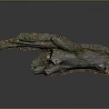 Natural Wood and Stone Tree Stump Decor with Rustic Texture and Organic Details