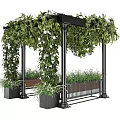 Bonsai Potted Plants in Garden Pavilion with Black Pillars Wooden Bench Green Vines White Flowers