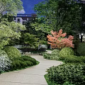 Night Garden Landscape With Paved Pathway Green Plants Red Maple Tree Trimmed Hedges And Lighting