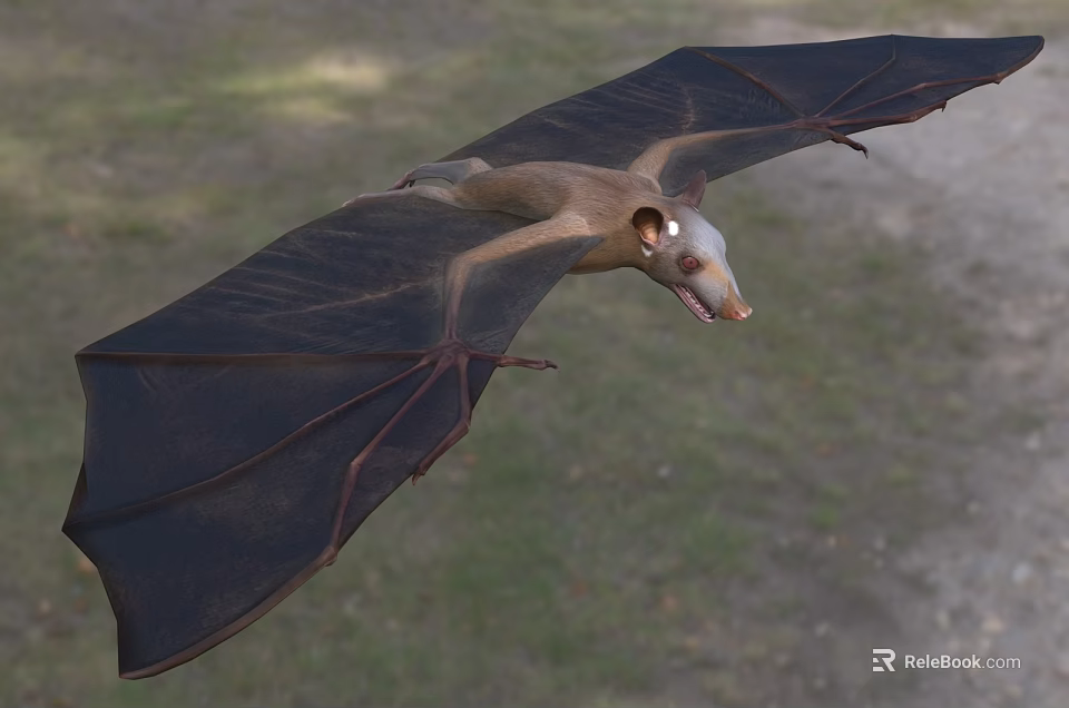 Flying Bat With Brown Body And Large Wings Gliding Over Natural Grassy Ground 3d model 