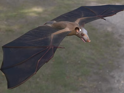 Flying Bat With Brown Body And Large Wings Gliding Over Natural Grassy Ground 3d model