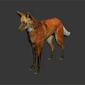 Red Fox 3D Character Model With White Tail Tip Standing On Dark Background 3d model
