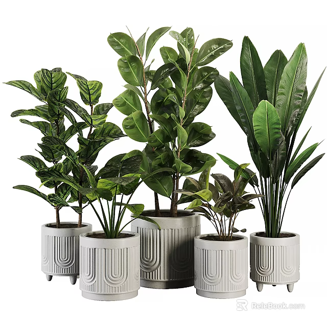 Indoor Green Plants Decor With Various Leaf Types In White Design Pots 3d model 