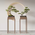 Indoor Bonsai Trees Placed On Wooden Stands With Circular Mirror Background