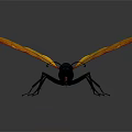 Vibrant Insect With Yellow Orange Wings Black Body And Blue Head Detailed Features