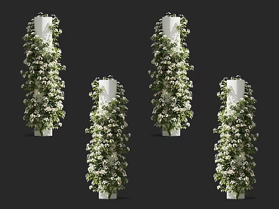 Ornamental Vines Covering White Pillars With Lush White Flowers For Garden Decoration 3d model