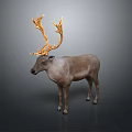 Realistic Reindeer with Large Golden Antlers Standing Against Gray Background Detailed Animal Figure