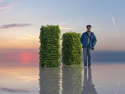 Green Leafy Shrubs With Person Standing Nearby At Sunset With Ground Reflection 3d model