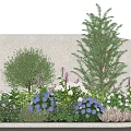 Outdoor Garden Plant Combination with Tall Trees Medium Shrubs Purple White Flowers and Green Foliage