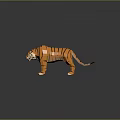 Low Poly Tiger With Orange And Black Stripes Standing On Gray Background With Reflection 3d model