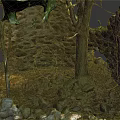 Ancient Stone Ruins Surrounded By Wooden Trees And Moss Covered Stones