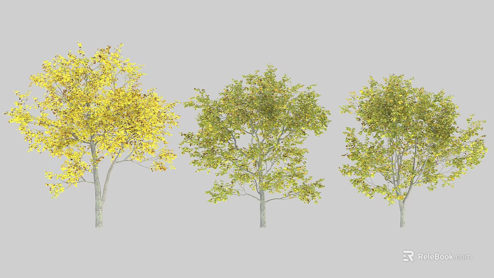 Three Arbor Trees With Different Green And Yellow Foliage Varieties 3d model