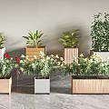 Modern Indoor Potted Plants Display With Wooden And Metal Planters Red Flowers And Green Leaves