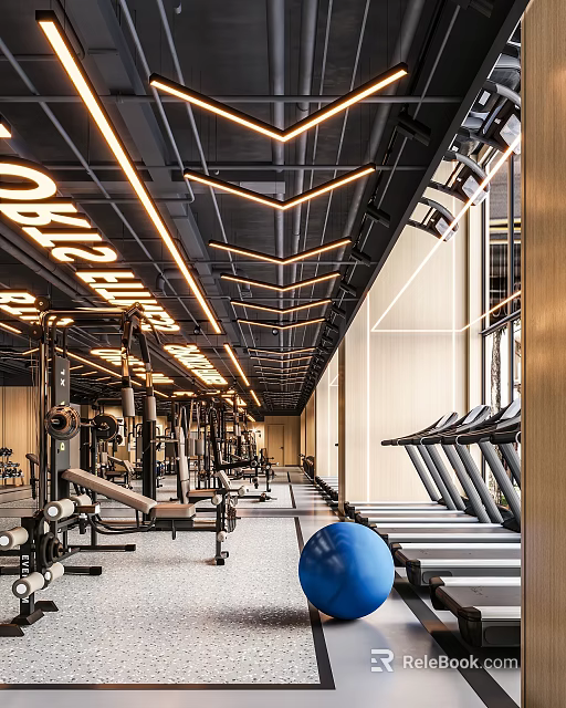 Modern Gym Interior With Fitness Equipment Treadmills And Ceiling Lighting 3d model 