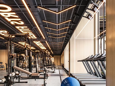 Modern Gym Interior With Fitness Equipment Treadmills And Ceiling Lighting 3d model