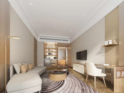 Modern Hotel Guest Room Interior With Sofa TV Desk Round Rug And Decorative Shelves 3d model