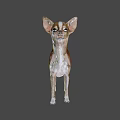 Game and Movie Character Chihuahua in Brown and White Standing Pose on Green Background