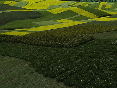 Scenic Rural Landscape with Rolling Yellow Rapeseed Fields and Green Layered Terrains 3d model