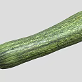 Fresh Green Striped Zucchini Healthy Organic Vegetable for Nutritious Recipes