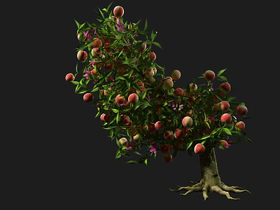 Lush Fruit Arbor Bearing Ripe Peaches Green Leaves And Purple Flowers 3d model