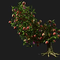 Modern Tree Flat Peach Tree 3d model