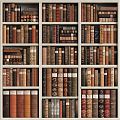 Bookcase Brown Book Combination 3d model