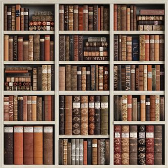 Bookcase Brown Book Combination 3d model