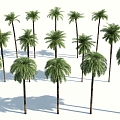 Modern Palm Tree 3d model