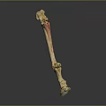 3D Rendered Human Long Bone Skeleton with Red Highlighted Anatomical Structure on Gray Background